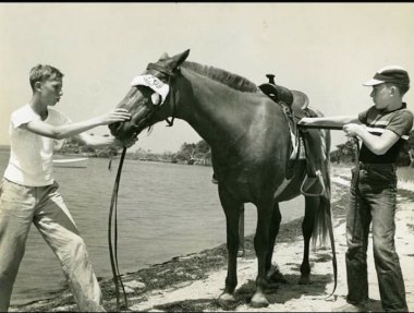 1950's: Lindsay Howard and Ronnie Van O'Neal training one of the wild ponies for the Boy Scout Troop. Troop 290 was the only Mounted Boy Scout Troop in America. Blindfolding the horses helped them learn commands. 